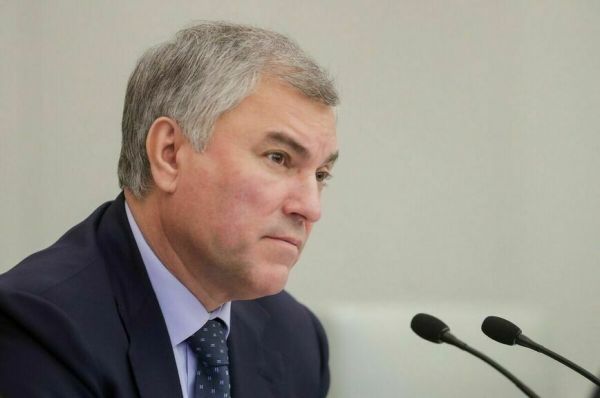Чиновников, отвечающих за бродячих собак, предложили наказывать жёстче