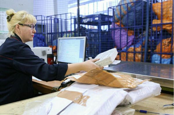 Таможня будет проверять документы на растительную продукцию онлайн Таможня будет проверять документы на растительную продукцию онлайн