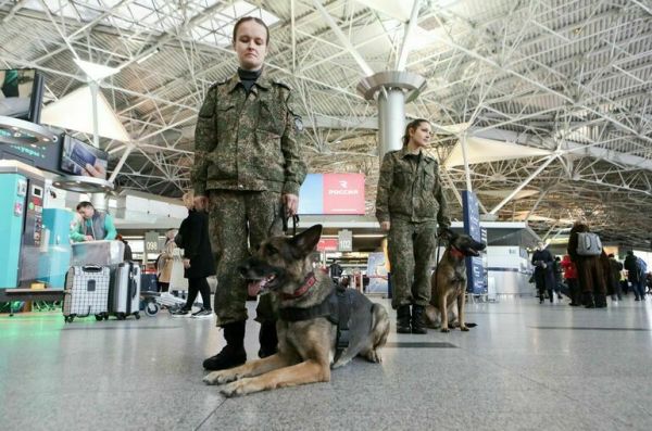 В Госдуму внесен законопроект о гармонизации таможенного законодательства РФ и Белоруссии В Госдуму внесен законопроект о гармонизации таможенного законодательства РФ и Белоруссии