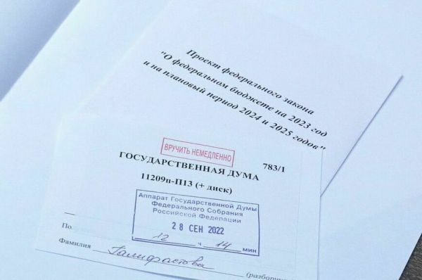 В Госдуме назвали приоритеты бюджета на 2023—2025 годы