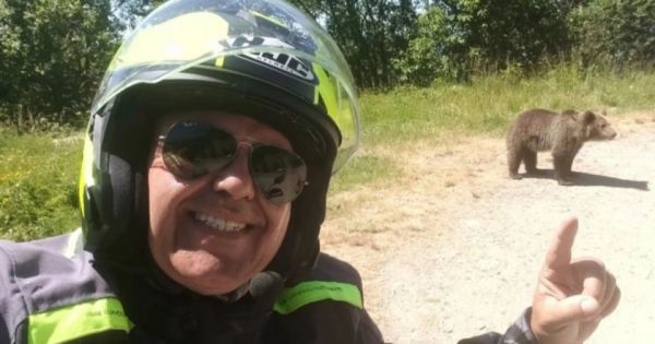 В Румынии мотоциклист сделал селфи с медведем и был растерзан 